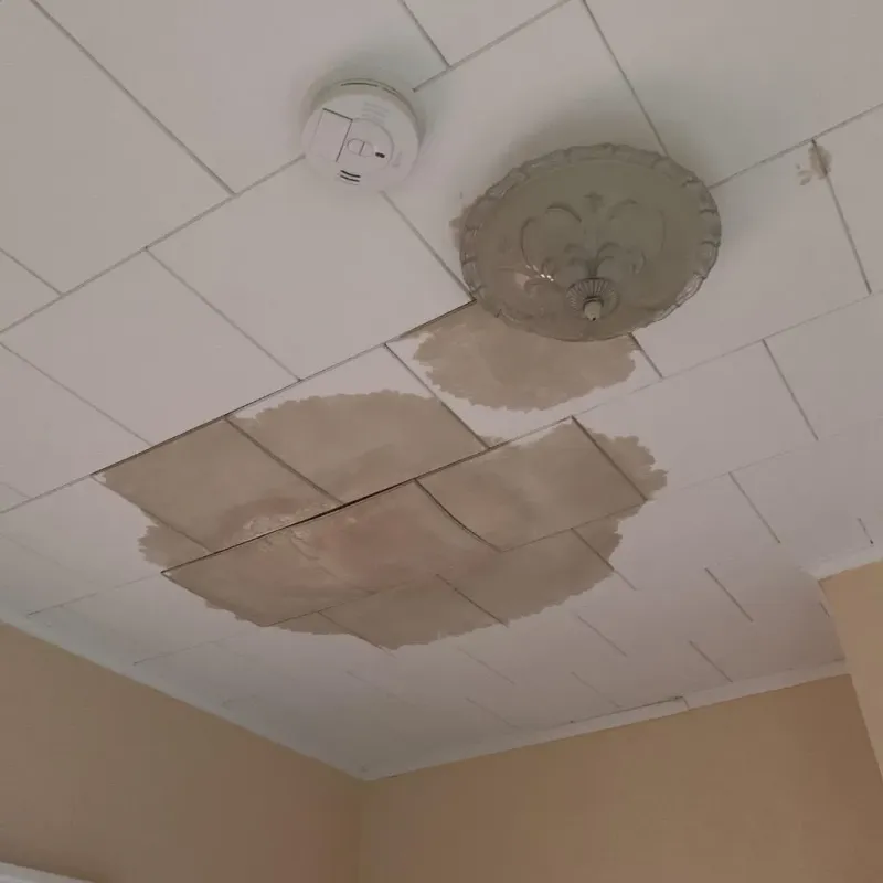 Ceiling Water Damage Repair in La Habra, CA